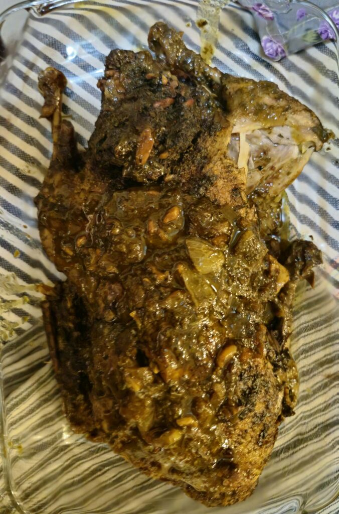  اردک شکم پر